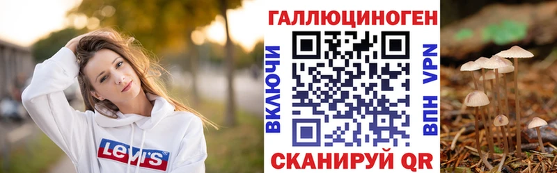 Псилоцибиновые грибы MAGIC MUSHROOMS  где продают наркотики  Рошаль 